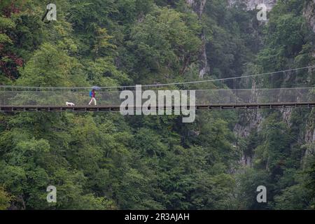 Senderistas con paraguas sobre la pasarela dHoltzarte, gargantas de Holzarté, Larrau, región de Aquitania, departamento de Pirineos Atlánticos, Francia. Banque D'Images