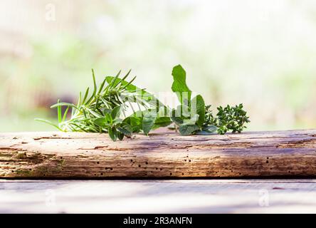 Herbes fraîches parfumées sur un vieux bois Banque D'Images