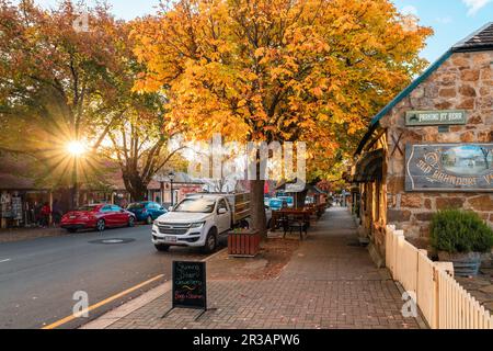 Adelaide Hills, Australie méridionale - 24 avril 2021 : Hahndorf vue sur la rue principale avec des voitures garées le long des cafés pendant la saison d'automne à l'heure du coucher du soleil Banque D'Images