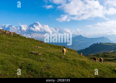 Célèbre Eiger, Mönch et Jungfrau dans la région de la Jungfrau Banque D'Images