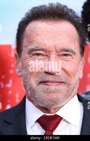 LOS ANGELES, CALIFORNIE, États-Unis - MAI 22 : l'acteur autrichien et américain, homme d'affaires, cinéaste, bodybuilder professionnel à la retraite et homme politique Arnold Schwarzenegger arrive à la première de Los Angeles de la saison 'FUBAR' de Netflix 1 qui s'est tenue à AMC The Grove 14 sur 22 mai 2023 à Los Angeles, Californie, États-Unis. (Photo de Xavier Collin/image Press Agency) Banque D'Images