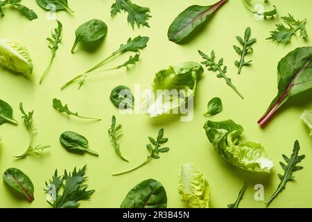 La romaine, l'arugula, les épinards et le mizuna feuilles platlay Banque D'Images