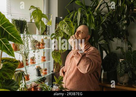 Homme examinant feuille de plante par étagère à la maison Banque D'Images