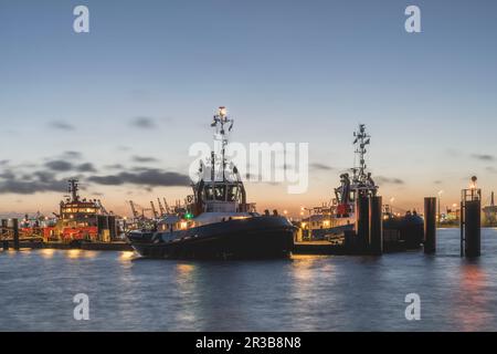 Allemagne, Hambourg, bateaux amarrés dans le port à l'aube Banque D'Images