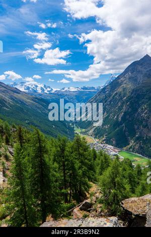 Europaweg près de Zermatt dans les Alpes suisses. Le sentier mène l'œil à travers des prairies verdoyantes et luxuriantes jusqu'au Matterhorn éloigné. La photo a été prise au soleil, summ Banque D'Images