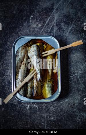 Sardines dans une boîte avec des fourchettes en bois Banque D'Images