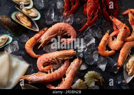 Assortiment de divers fruits de mer crus - crevettes, moules kiwi, calmar et langouste sur glace Banque D'Images