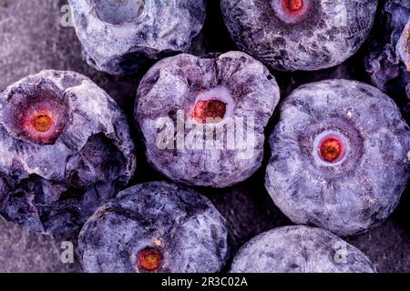 Bleuets congelés sur une surface métallique rustique. Banque D'Images