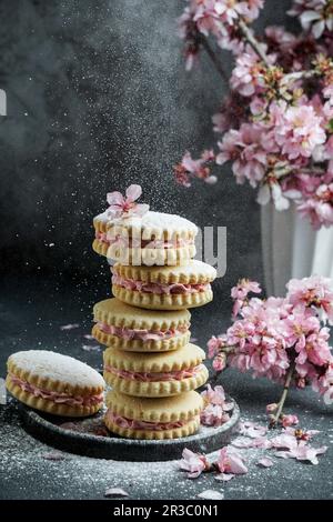 Alfajores, délicieux biscuits traditionnels argentins fourrés de crème Banque D'Images