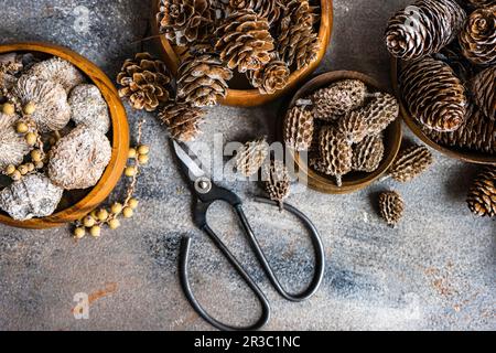 Cadre de Noël avec bols en bois plein de variété de cônes et de noix de sapin et de pin Banque D'Images