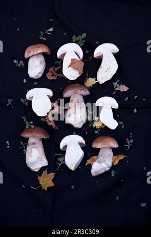 Champignons porcini entiers et coupés en tranches de demi-longueur Banque D'Images