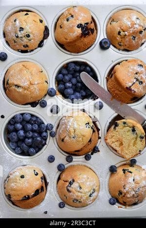 Muffins aux myrtilles dans un plateau de cuisson Banque D'Images