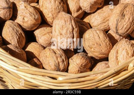 Fermez les coquilles de noix entières organiques non ouvertes à l'intérieur du panier en osier sous le soleil. Arrière-plan coque en noyer non ouvert. Studio de noyer non ouvert. Banque D'Images