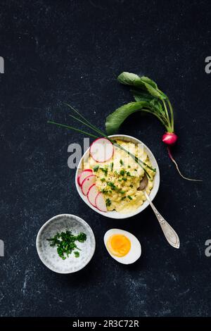 Salade d'oeufs garnie de radis et de ciboulette Banque D'Images