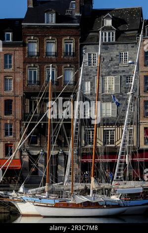 À Honfleur, Calvados, Normandie, France, des maisons hautes et étroites datant des 1600s et 1700s bordent le Quai Sainte-Catherine et forment la toile de fond des yachts amarrés dans le Vieux bassin (Vieux bassin, Port ou Dock), commencé en 1668 comme un nouveau port pour Honfleur. Banque D'Images