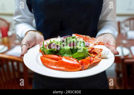 Le garçon sert du homard avec de la salade Banque D'Images