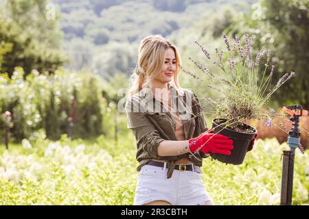 La femme heureuse entrepreneur travaille dans une ferme de fleurs Banque D'Images