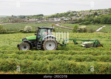 Timoleague, West Cork, Irlande. 23rd mai 2023. Lors d'une journée de temps chaud et couvert, Richard McCarthy, qui exploite des produits laitiers avec son frère Michael, coupe de l'herbe pour l'ensilage prête pour le pressage dans sa ferme de Timoleague, West Cork, avec l'abbaye de Timoleague comme toile de fond. Richard utilise un tracteur Deutz-Fahr Agrotron K610 et une faucheuse John Deere 1360. Crédit : AG News/Alay Live News Banque D'Images