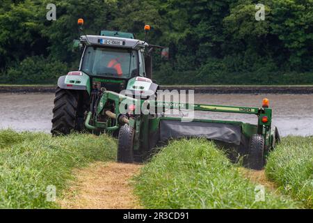 Timoleague, West Cork, Irlande. 23rd mai 2023. Lors d'une journée de temps chaud et couvert, Richard McCarthy, qui exploite des produits laitiers avec son frère Michael, coupe de l'herbe pour l'ensilage prête pour le pressage dans sa ferme de Timoleague, West Cork. Richard utilise un tracteur Deutz-Fahr Agrotron K610 et une faucheuse John Deere 1360. Crédit : AG News/Alay Live News Banque D'Images