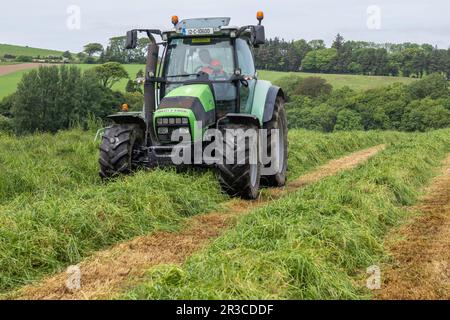 Timoleague, West Cork, Irlande. 23rd mai 2023. Lors d'une journée de temps chaud et couvert, Richard McCarthy, qui exploite des produits laitiers avec son frère Michael, coupe de l'herbe pour l'ensilage prête pour le pressage dans sa ferme de Timoleague, West Cork. Richard utilise un tracteur Deutz-Fahr Agrotron K610 et une faucheuse John Deere 1360. Crédit : AG News/Alay Live News Banque D'Images