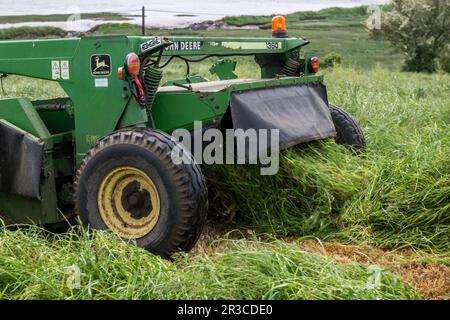 Timoleague, West Cork, Irlande. 23rd mai 2023. Lors d'une journée de temps chaud et couvert, Richard McCarthy, qui exploite des produits laitiers avec son frère Michael, coupe de l'herbe pour l'ensilage prête pour le pressage dans sa ferme de Timoleague, West Cork. Richard utilise un tracteur Deutz-Fahr Agrotron K610 et une faucheuse John Deere 1360. Crédit : AG News/Alay Live News Banque D'Images