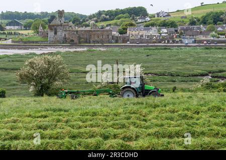 Timoleague, West Cork, Irlande. 23rd mai 2023. Lors d'une journée de temps chaud et couvert, Richard McCarthy, qui exploite des produits laitiers avec son frère Michael, coupe de l'herbe pour l'ensilage prête pour le pressage dans sa ferme de Timoleague, West Cork, avec l'abbaye de Timoleague comme toile de fond. Richard utilise un tracteur Deutz-Fahr Agrotron K610 et une faucheuse John Deere 1360. Crédit : AG News/Alay Live News Banque D'Images