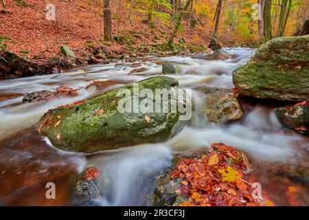 Vallée de l'Ilse en automne Allemagne Banque D'Images
