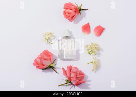 Bouteille de parfum en verre et fleurs rose corail sur fond blanc avec ombres dures. Vue de dessus, plan d'agencement, maquette Banque D'Images