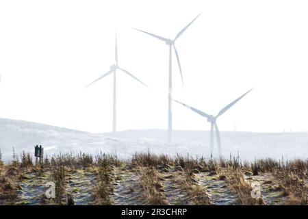 Trois éoliennes qui se manifestent à travers la brume, avec un jet de neige légère, dans les collines écossaises. Banque D'Images