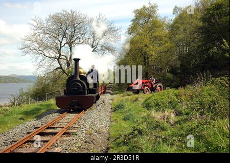 'Winifrad' entre Dolfawr et Pentrepiod s'arrête avec un train de wagons d'ardoise, de tracteur d'époque et de ré-acteurs. Banque D'Images