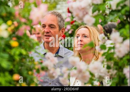 Londres, Royaume-Uni. 23rd mai 2023. Le stand Peter Beales - le Chelsea Flower Show 2023. Crédit : Guy Bell/Alay Live News Banque D'Images