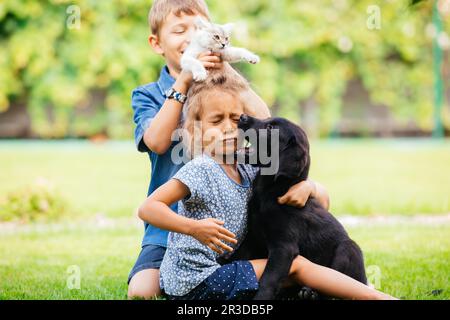 Joyeux frère et sœur bavardant dans le parc Banque D'Images