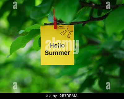 Une note en papier jaune avec les mots Hello Summer dessus, attachée à une branche d'arbre avec une épingle à vêtements. Gros plan. Banque D'Images