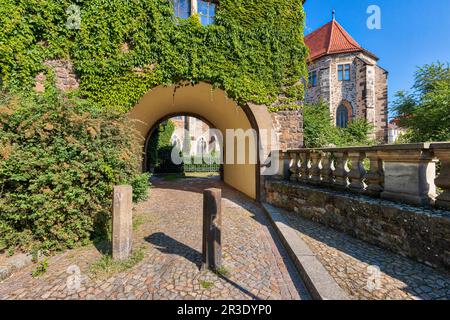 Cathédrale de Magdebourg sur l'Elbe Saxe Anhalt Banque D'Images