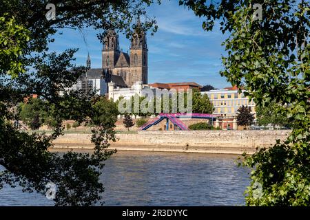 Cathédrale de Magdebourg sur l'Elbe Saxe Anhalt Banque D'Images