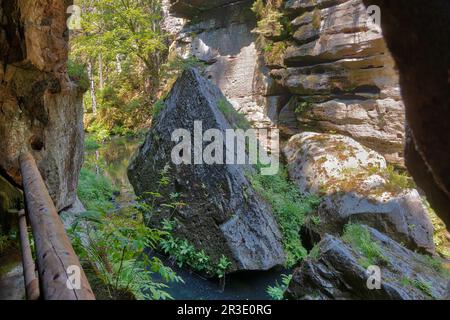 Elbe grès montagnes Edmundsklamm Hrensko Banque D'Images