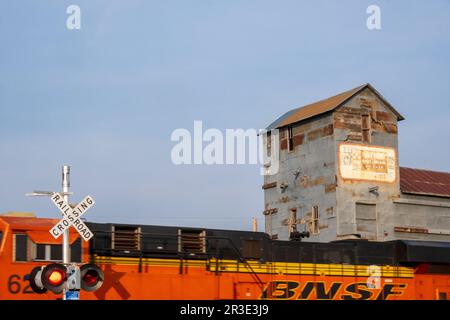 Train de marchandises et élévateur à grains anciens, Clayton, Nouveau-Mexique, États-Unis Banque D'Images