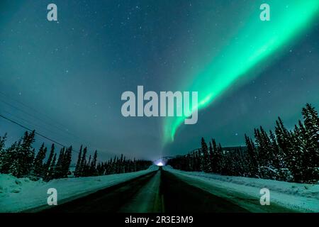 Magnifique Aurora borealis vert turquoise vu dans le nord du Canada pendant la saison d'hiver avec des lumières nordiques brillantes dans la forêt boréale. Banque D'Images