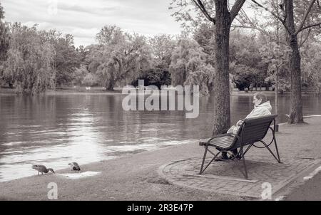 Bucarest, Roumanie - Mai 2023: Vinatage image monochrome avec une femme solitaire sénior assis sur un banc et regardant les canards. Banque D'Images