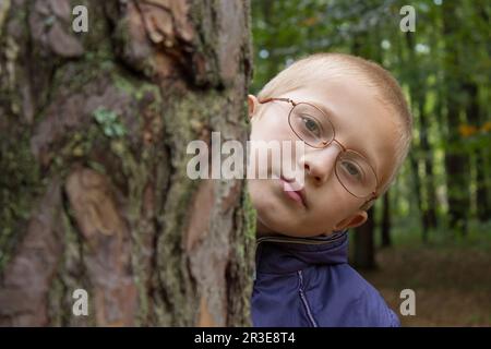 Portrait du petit garçon qui se trouve derrière l'arbre, lunettes Banque D'Images
