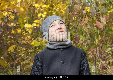 garçon en manteau gris en automne avec col Banque D'Images