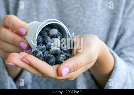 Femme tenant un seau en métal avec des bleuets congelés. Concept de récolte. Les mains des femmes collectent les baies. Alimentation saine con Banque D'Images