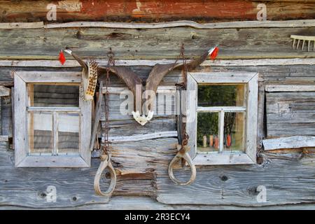 La photo a été prise en Ukraine, dans le village de Kolochava. Sur la photo, il y a un mur d'une ancienne maison de village, décorée de cornes d'animaux. Il y a t Banque D'Images
