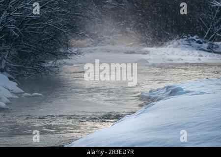 Rivière froide d'hiver, vapeur visible au-dessus de l'eau, arbres sombres des deux côtés Banque D'Images