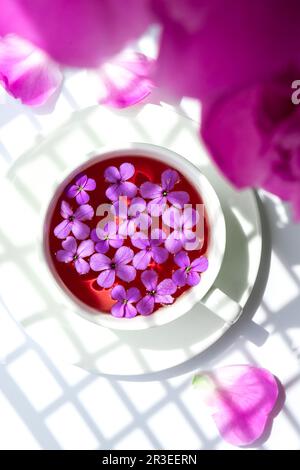 Aménagement créatif avec fleurs de pivoines roses et une tasse de thé sur une table lumineuse. Tendances ombres saison printemps Valentin, femme, mothe Banque D'Images