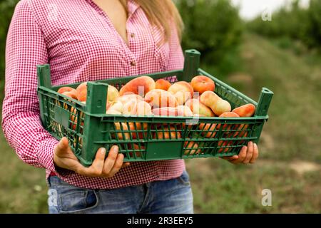 Jeune femme achetant des fruits frais à la ferme locale Banque D'Images