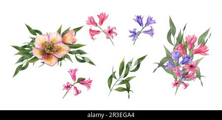 Set d'aquarelles bleu et rose jacinthes, hellébores, eucalyptus isolé sur fond blanc. Illustration de fleurs de printemps pour la conception de salutations Banque D'Images