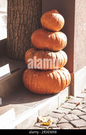 Porte d'entrée décorée de Thanksgiving avec citrouille à l'extérieur Banque D'Images