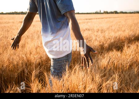 Jeune agriculteur au milieu du champ Banque D'Images