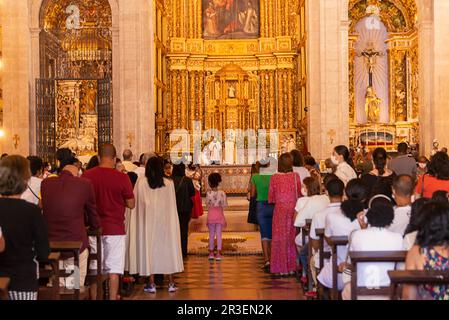 Salvador, Bahia, Brésil - 16 juin 2022: On voit des adorateurs assister à la messe de Corpus christi à la Basilique Catedral de Salvador, à Pelourinho, Bahia. Banque D'Images